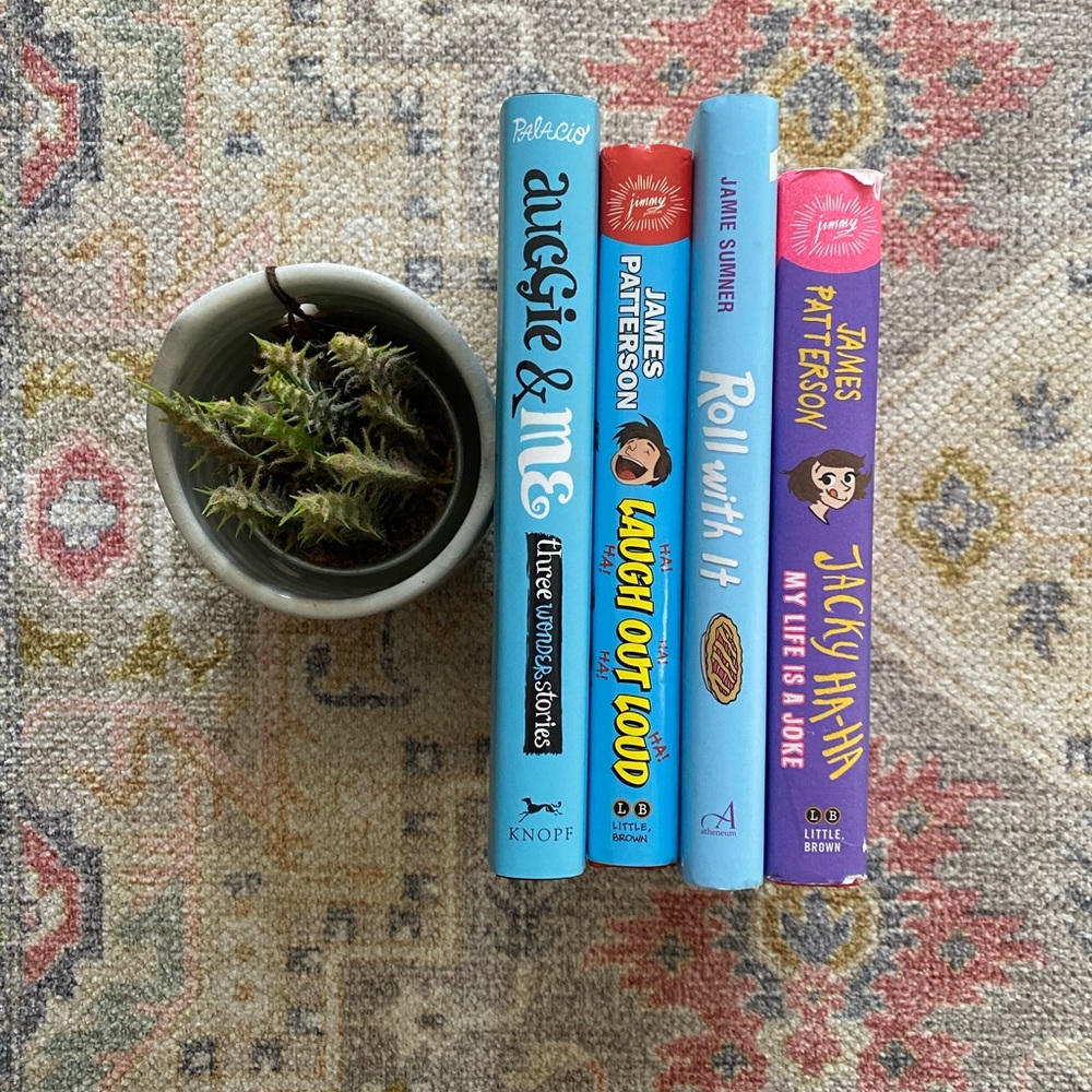 Four Hardcover Chapter Books